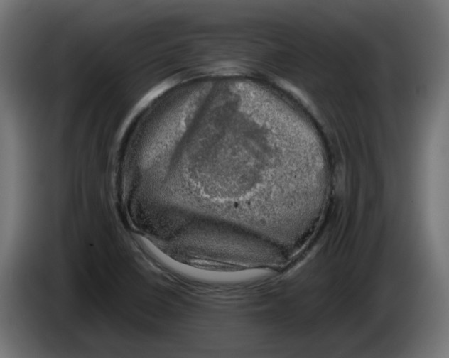 X0000083561410200703021706