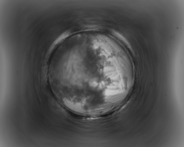 X0000083561411200703021706