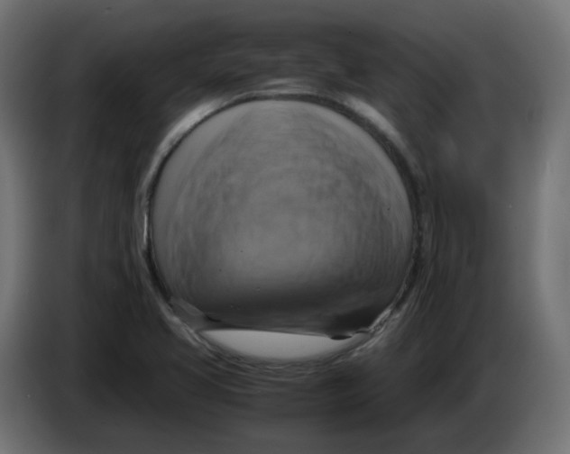 X0000083561413200703021706