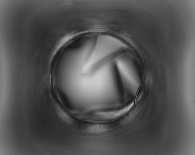 X0000083561414200703021706