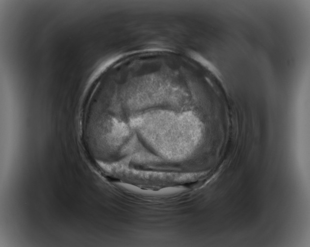 X0000083561415200703021706