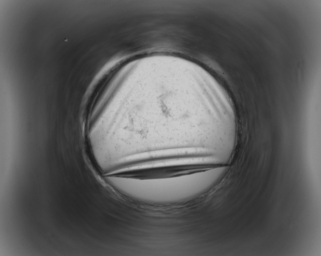 X0000083561416200703021706