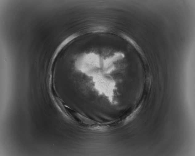 X0000083561418200703021706