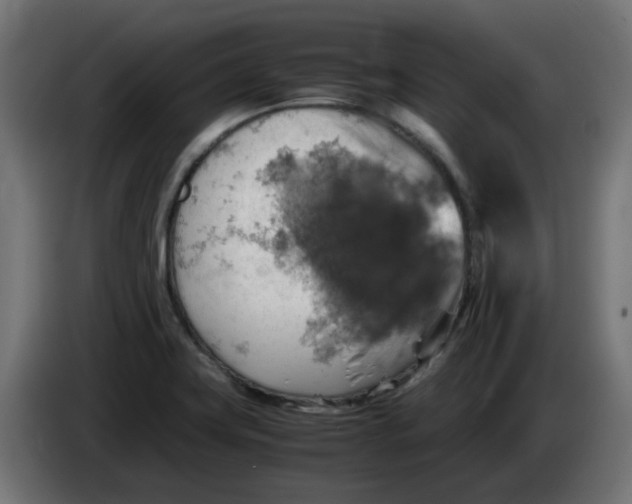 X0000083561419200703021706