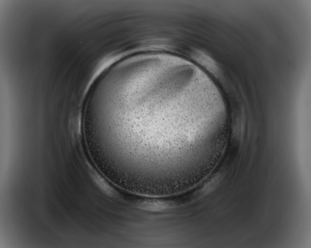 X0000083561420200703021706