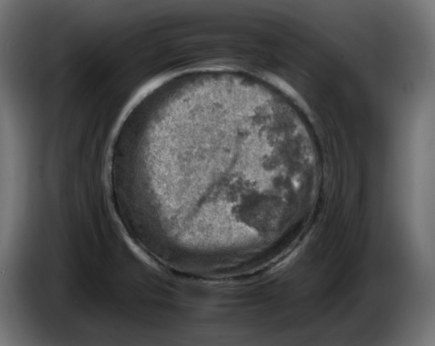 X0000083561421200703021706