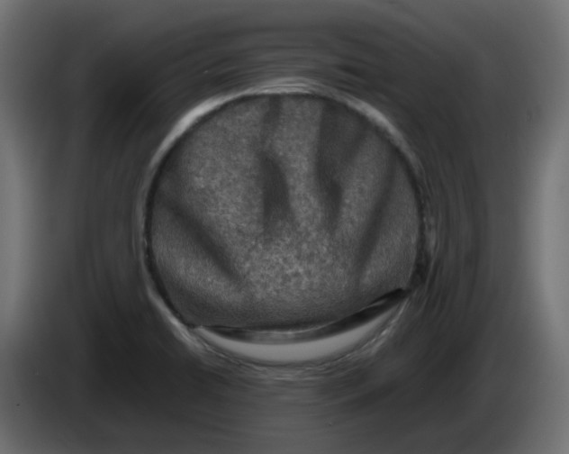 X0000083561422200703021706