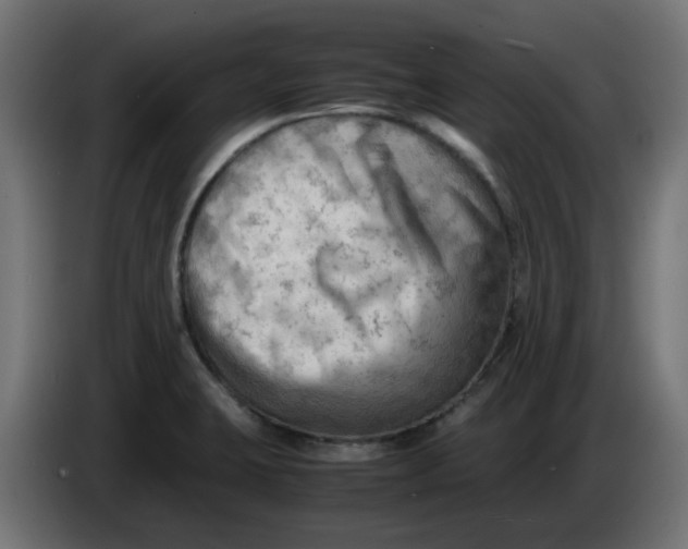 X0000083561423200703021706