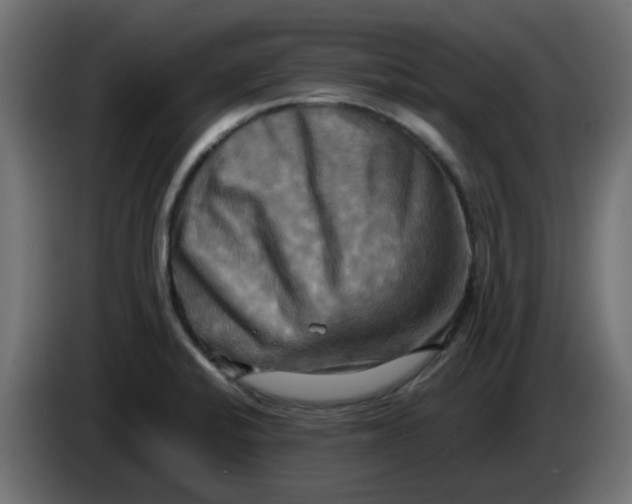 X0000083561424200703021706