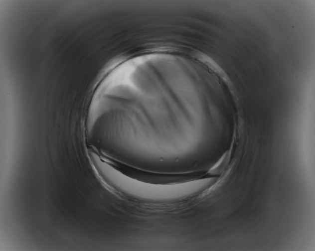 X0000083561425200703021706