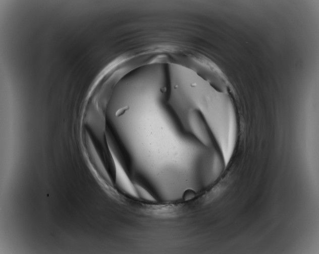 X0000083561426200703021706