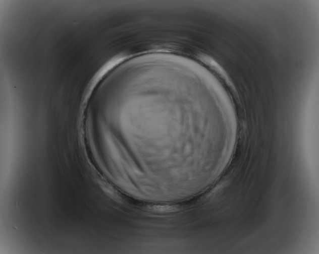 X0000083561427200703021706