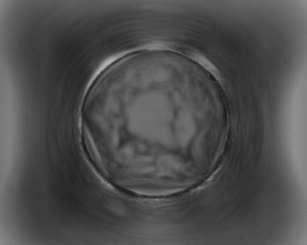 X0000083561428200703021706