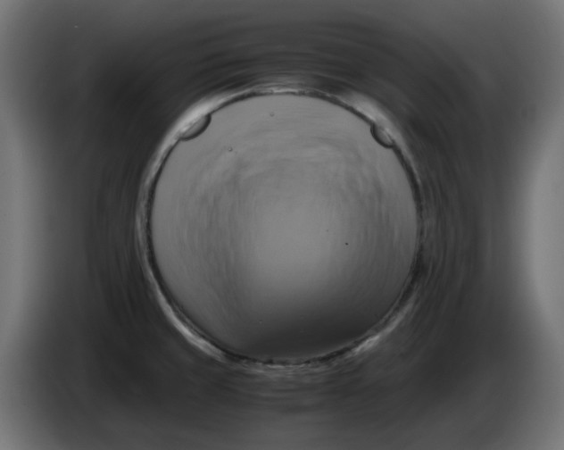 X0000083561429200703021706