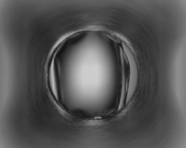 X0000083561430200703021706