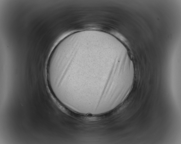 X0000083561431200703021706