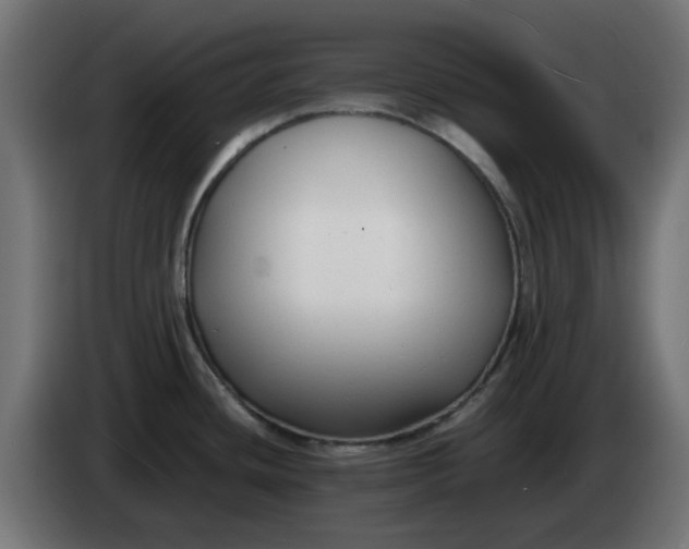 X0000083561436200703021706