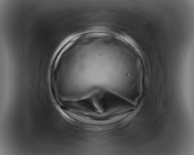 X0000083561438200703021706