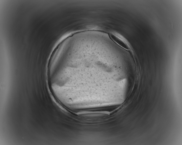 X0000083561439200703021706