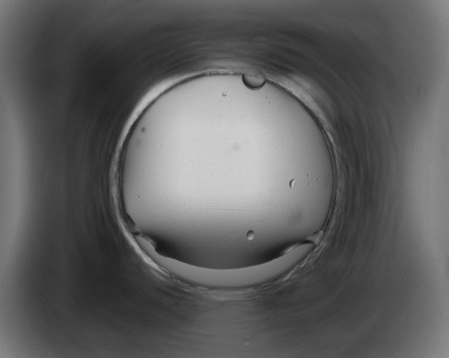 X0000083561440200703021706