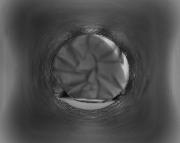 X0000083561441200703021705