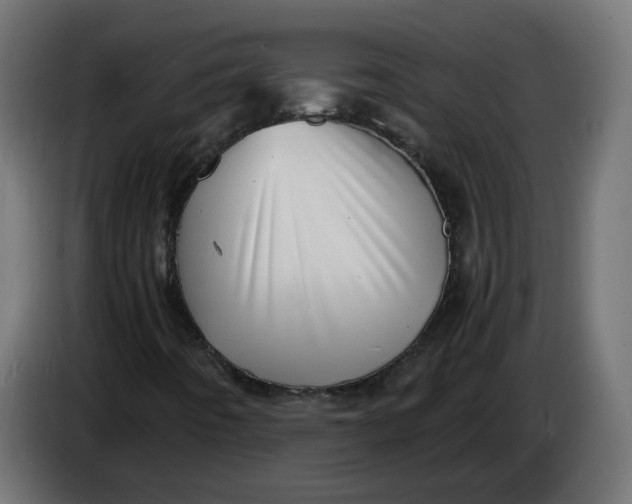 X0000083561442200703021705