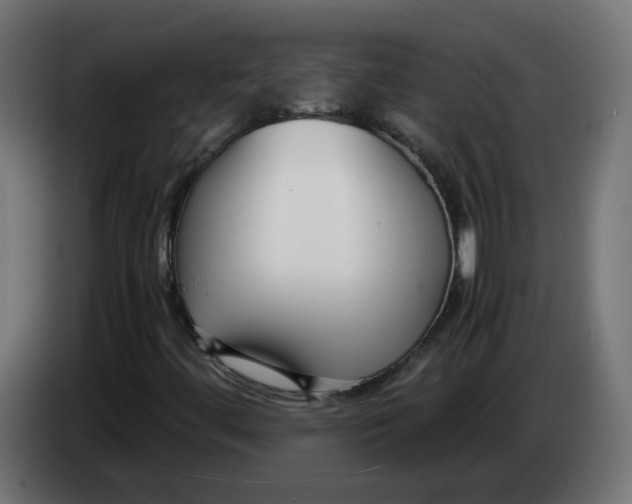 X0000083561444200703021705