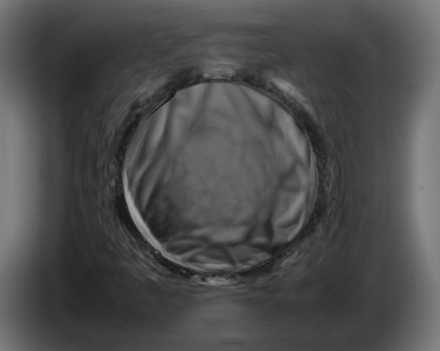 X0000083561445200703021705