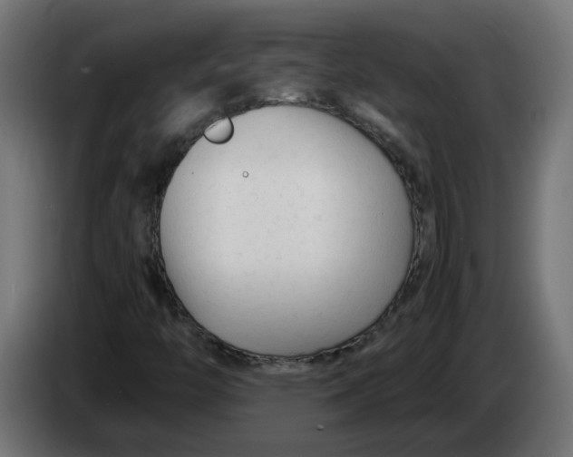 X0000083561446200703021705