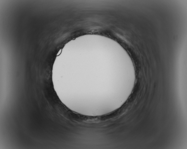 X0000083561447200703021705