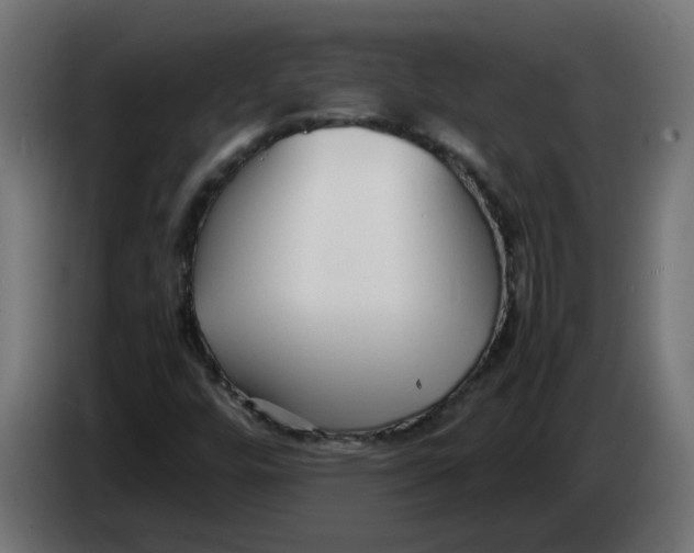 X0000083561448200703021705