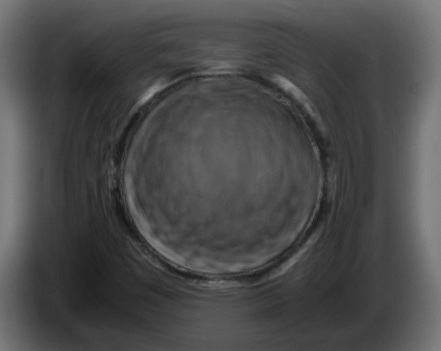 X0000083561449200703021705