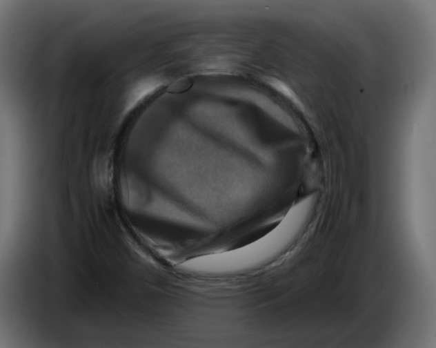 X0000083561450200703021705