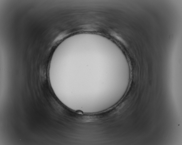 X0000083561451200703021705