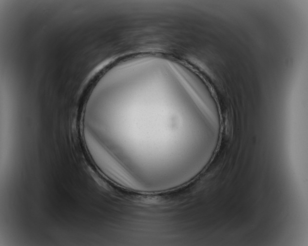 X0000083561452200703021705