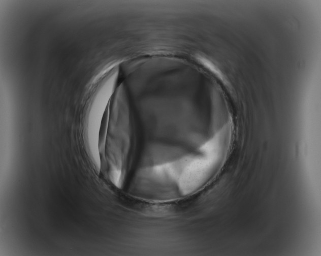 X0000083561453200703021705