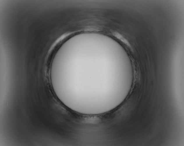 X0000083561454200703021705