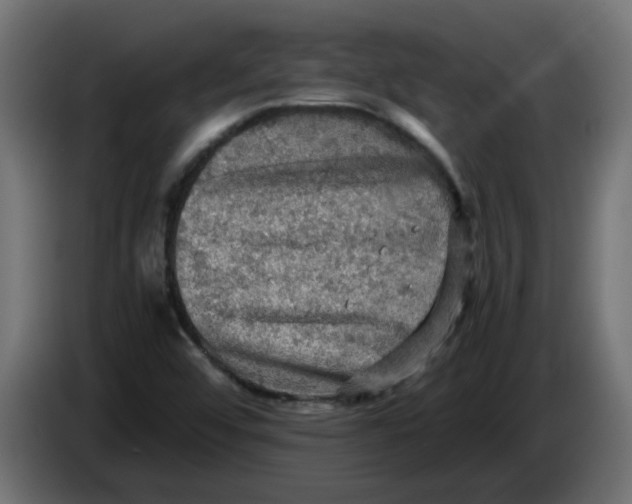 X0000083561456200703021705