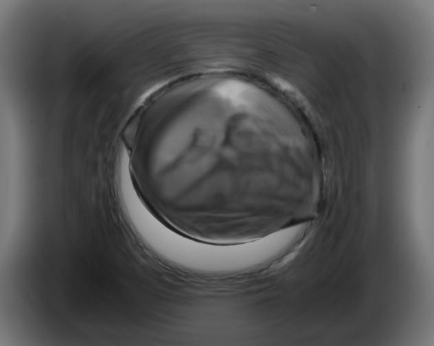 X0000083561457200703021705