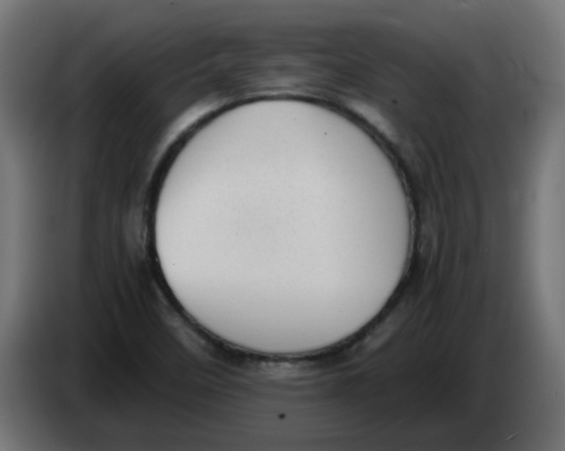 X0000083561458200703021705