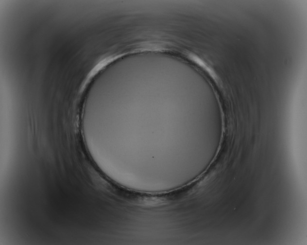 X0000083561459200703021705