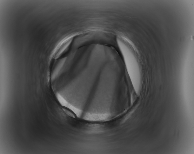 X0000083561461200703021705