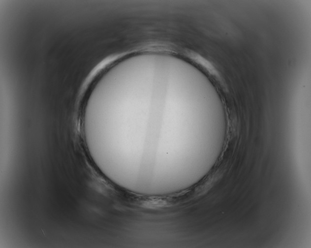 X0000083561462200703021705