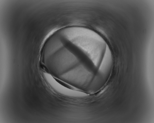 X0000083561463200703021705