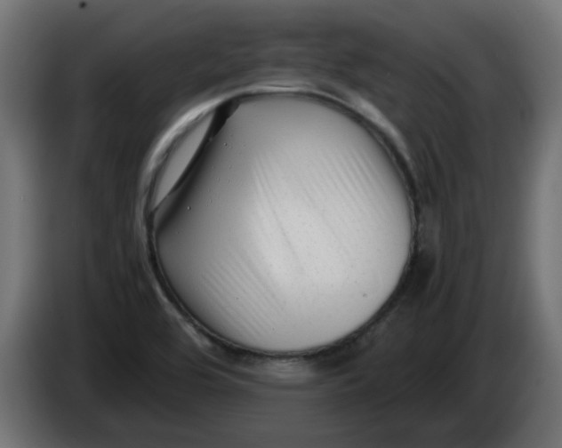 X0000083561464200703021705