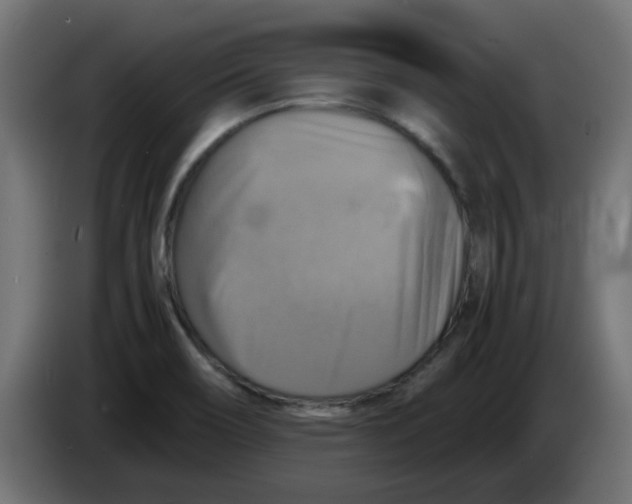 X0000083561466200703021705