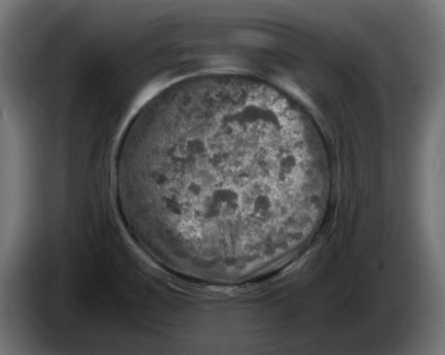 X0000083561467200703021705