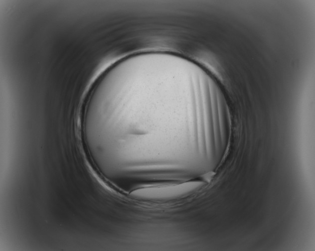 X0000083561468200703021705