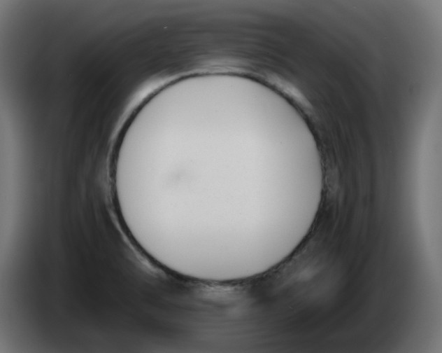 X0000083561470200703021705