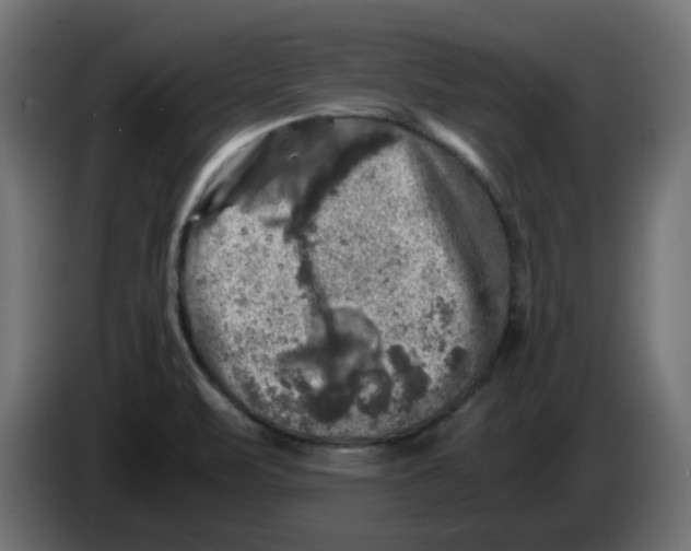 X0000083561471200703021705